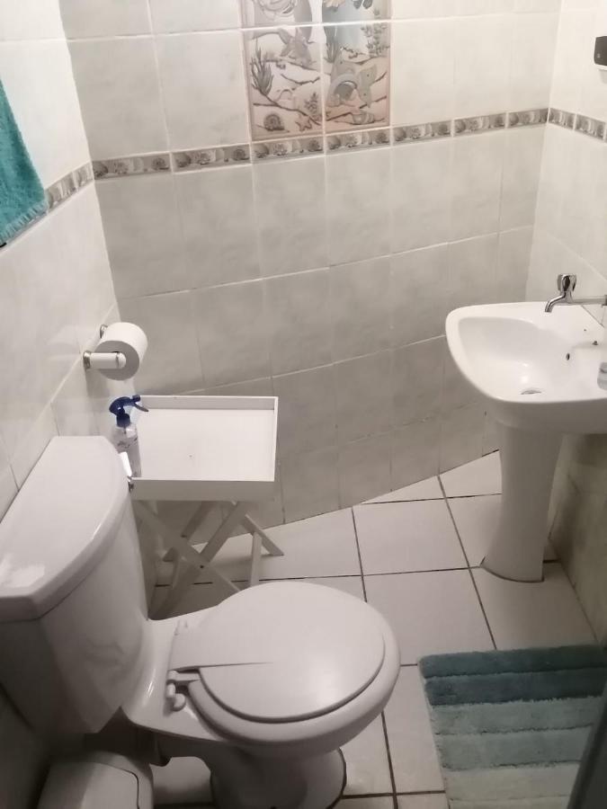 36 Mount Road Guesthouse And Self Catering Port Elizabeth Dış mekan fotoğraf